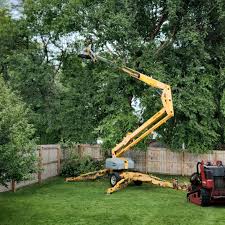 Best Lawn Grading and Leveling  in Aurora, MN